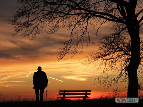 Abendwanderung