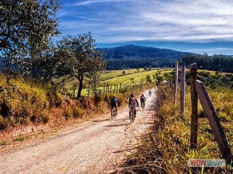 Mountainbiker road