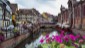 Colmar